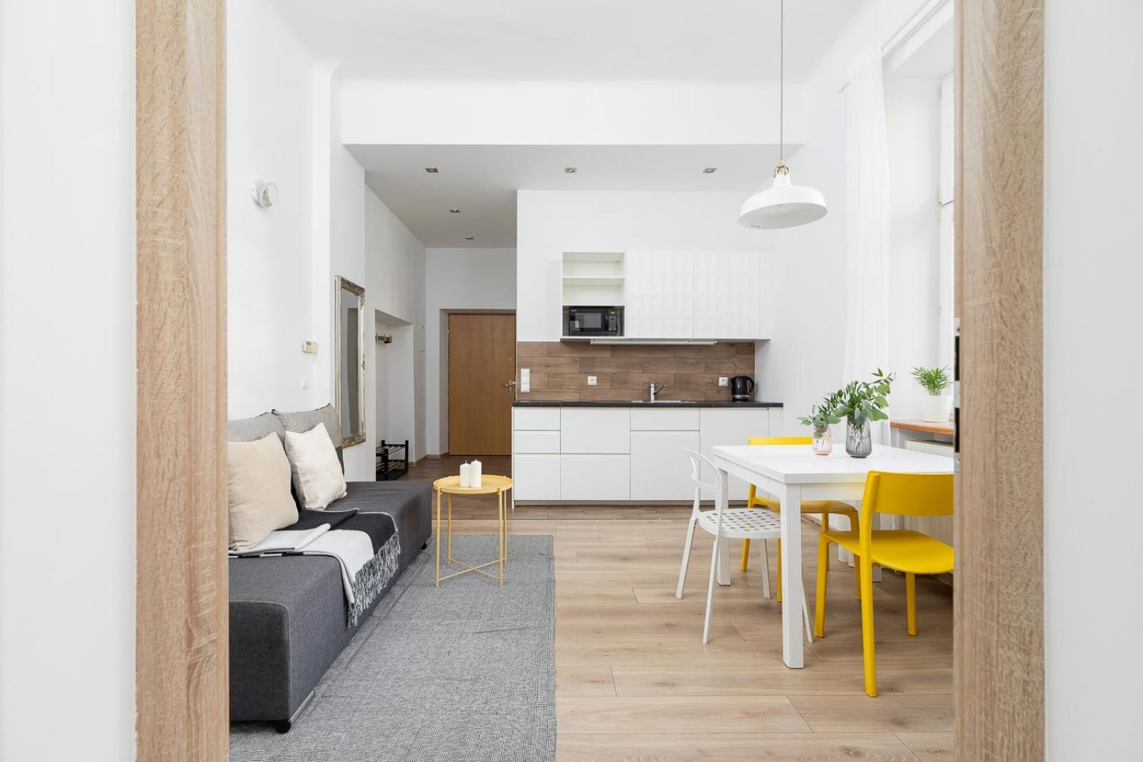 Apartament 1 Bedroom - Ludwika Zamenhofa 6 Street *