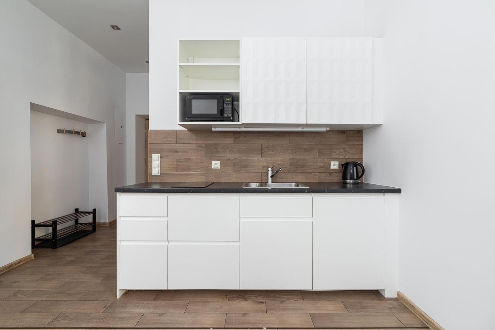 Apartment 1 Bedroom - Ludwika Zamenhofa 6 Street